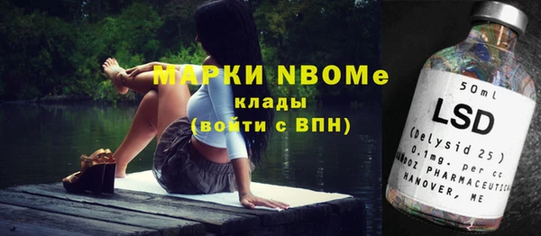 ПСИЛОЦИБИНОВЫЕ ГРИБЫ Алзамай