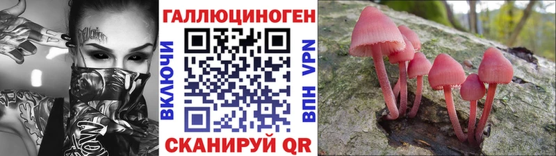 Галлюциногенные грибы Psilocybine cubensis  kraken   Бавлы 